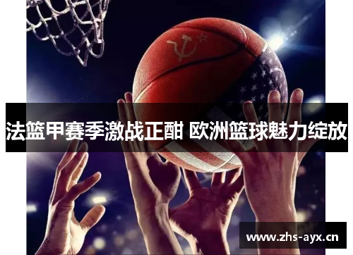 法篮甲赛季激战正酣 欧洲篮球魅力绽放